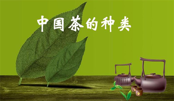 我國(guó)茶葉是怎樣分類的