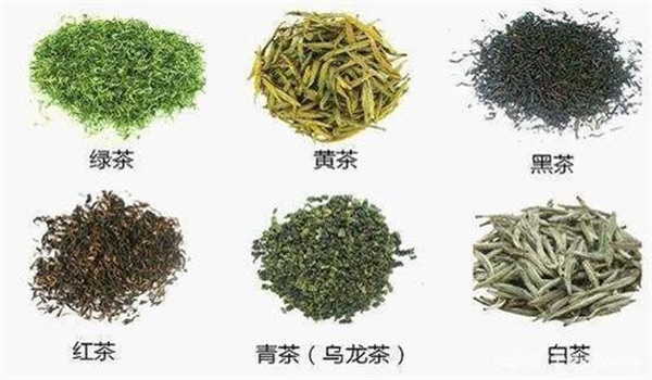 我國(guó)基本茶類分為哪幾大類