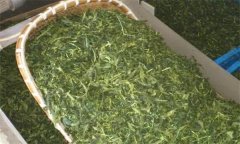 炒青綠茶加工分哪幾道工序、具體方法是什么？