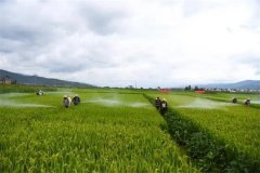 蔬菜病蟲害綠色防控技術主要有哪些？