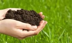 生物有機(jī)肥的功效與作用有哪些？