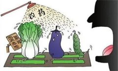 農(nóng)藥“安全、經(jīng)濟、有效”的使用原則