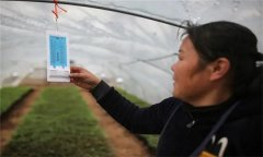 溫度對(duì)農(nóng)作物生長(zhǎng)發(fā)育的影響有哪些方面？