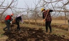 合理施肥的基本原理是什么？