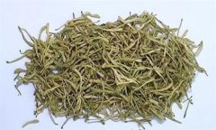 如何科學(xué)飲用金銀花茶？需注意哪些事項(xiàng)？