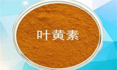 什么是葉黃素？哪些蔬菜富含葉黃素？