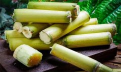 如何選購、儲存甘蔗？食用甘蔗應注意事項