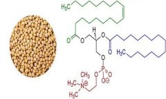 大豆異黃酮對人體有什么好處 什么食物含量多？