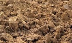 土壤肥力失衡、土壤質(zhì)量下降、土壤酸化怎么辦