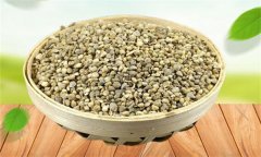 菠菜生長發(fā)育的過程是怎樣的？
