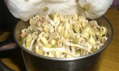 生產(chǎn)綠豆芽苗菜如何進(jìn)行沖淋水？